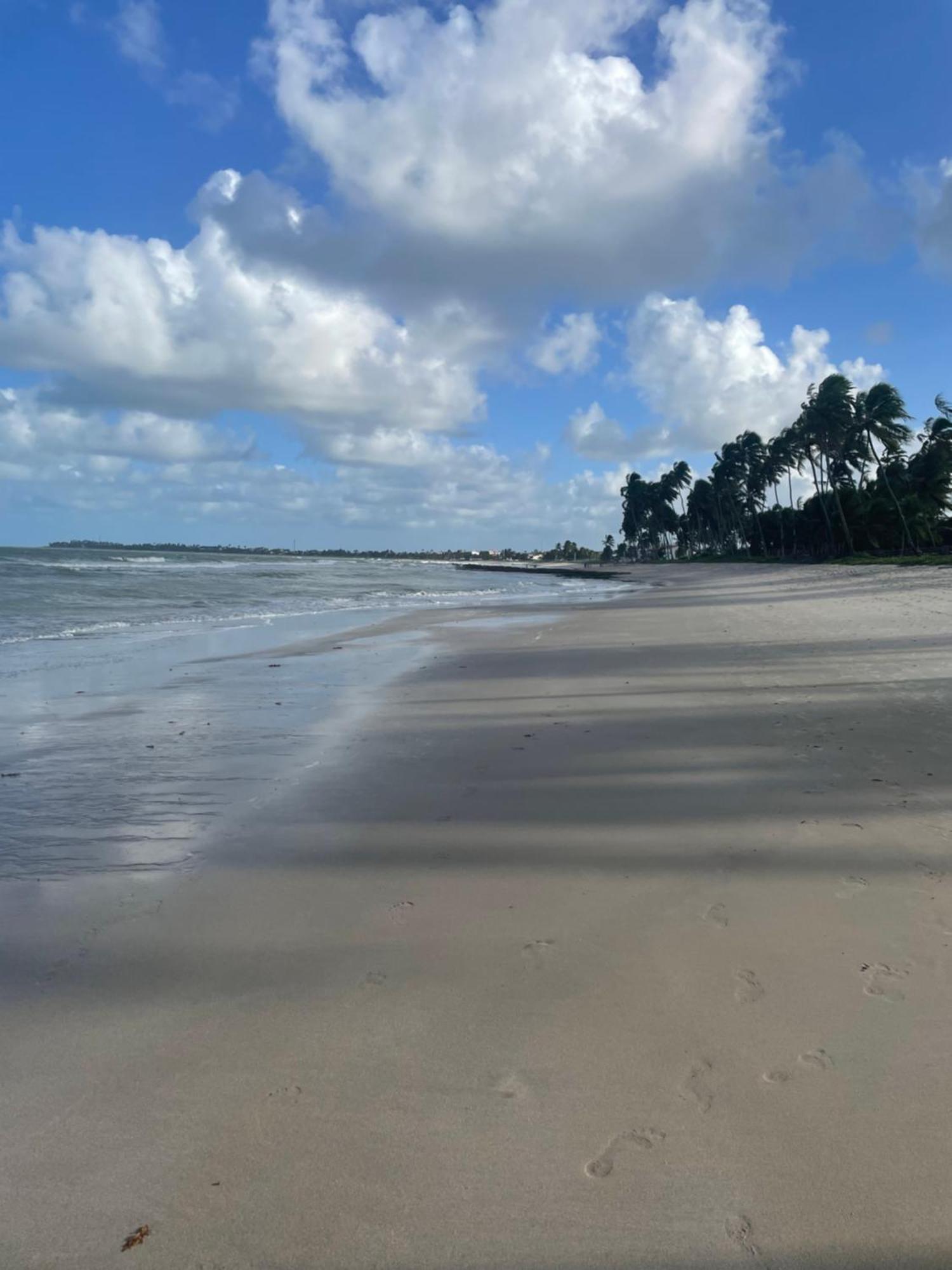 Flat Praia Dos Carneiros - Condominio Na Beira-Mar - Tamandaré Dış mekan fotoğraf